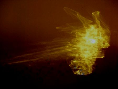 Licht1a