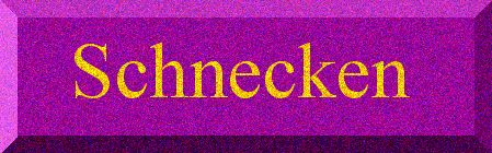 Schnecken
