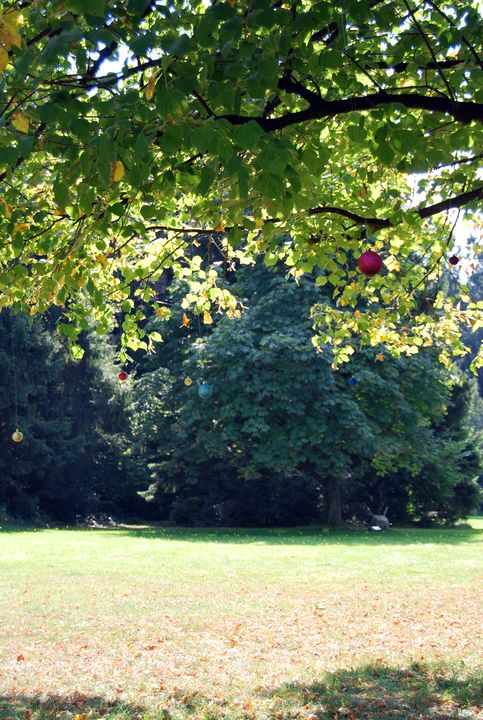 Planetenbaum Kramelheide - Antje Eilers