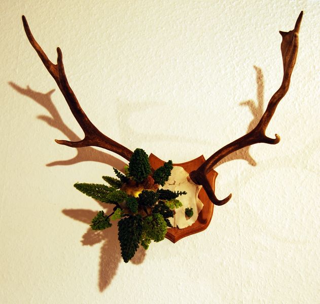 Stirb und Werde .... Antje Eilers .... Künstlerin