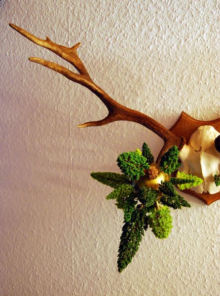 Stirb und Werde ..... Antje Eilers .... Hemmoor