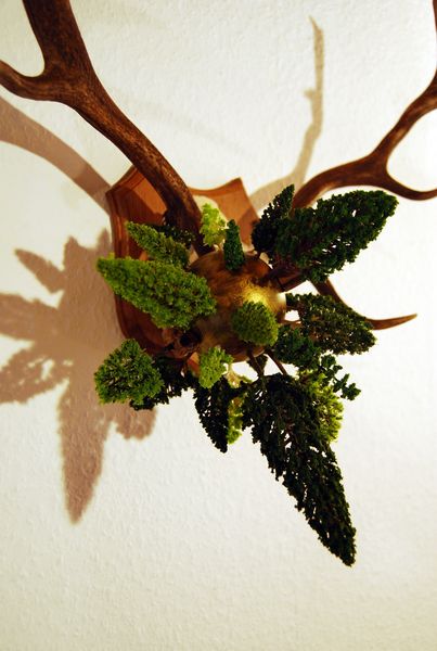 Stirb und Werde .... Antje Eilers .... Hemmoor