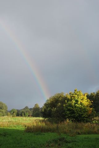 Regenbogen